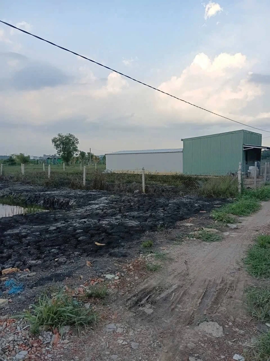 Bán đất làm nhà vườn Phú An 1.200m² - 2 tỷ - Ảnh thu nhỏ 3