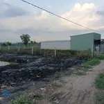 Bán đất làm nhà vườn Phú An 1.200m² - 2 tỷ - Ảnh thu nhỏ 3