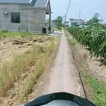 Bán 1760m² ruộng mặt tiền Kiểng Phước, Tiền Giang - Ảnh thu nhỏ 1
