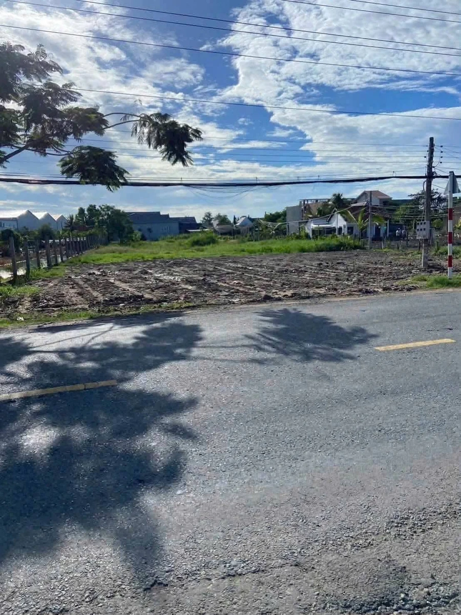 Bán đất mặt tiền 2200m² Mỹ Lệ, Cần Đước, Long An - Ảnh thu nhỏ 4