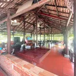Bán khu nhà vườn 5.150m² có nhà gỗ cổ, ao cá tại An Điền, Bến Cát, Bình Dương - Ảnh thu nhỏ 4
