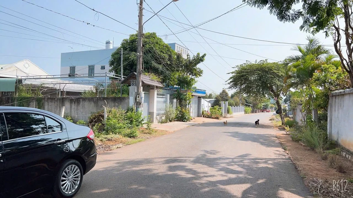 Bán biệt thự mặt tiền Hoà Long, Bà Rịa 443m2, 3 tỷ 900 triệu - Ảnh thu nhỏ 3