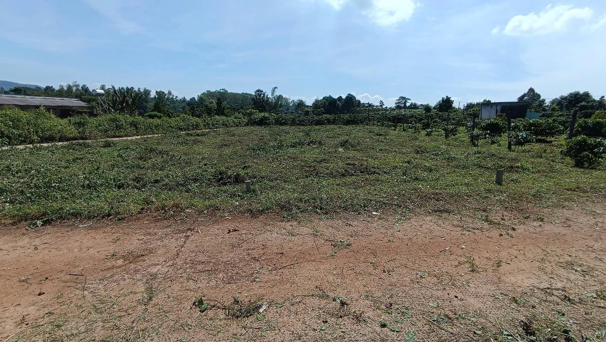 Bán lô đất nền 5m × 28m Đào Duy Từ 140m², 3xx triệu - Ảnh thu nhỏ 4