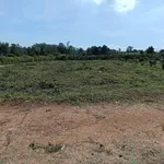 Bán lô đất nền 5m × 28m Đào Duy Từ 140m², 3xx triệu - Ảnh thu nhỏ 4