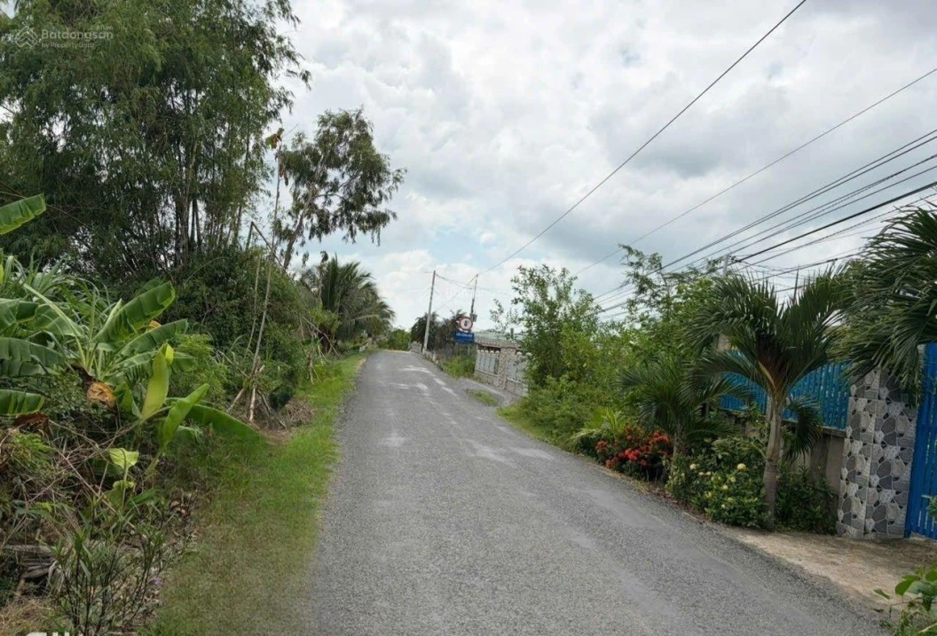 Đất gần biển, view kênh mặt tiền nhựa ĐT871C xã Tân Điền, Gò Công Đông Tiền Giang, 359 m2 giá 1,4tỷ - Ảnh thu nhỏ 2