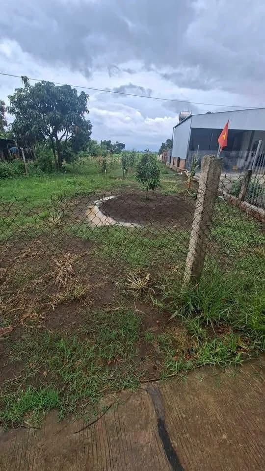 Bán đất Thôn 13 Eakly 300m² 360 triệu - Ảnh thu nhỏ 3