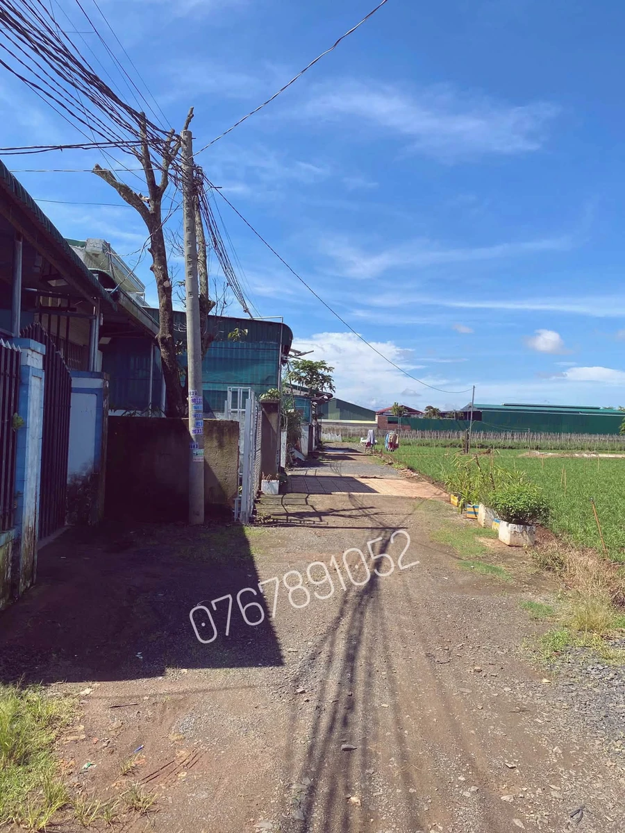 Bán đất Nhà Bè 225m² 1 tỷ 220 triệu - Ảnh thu nhỏ 5