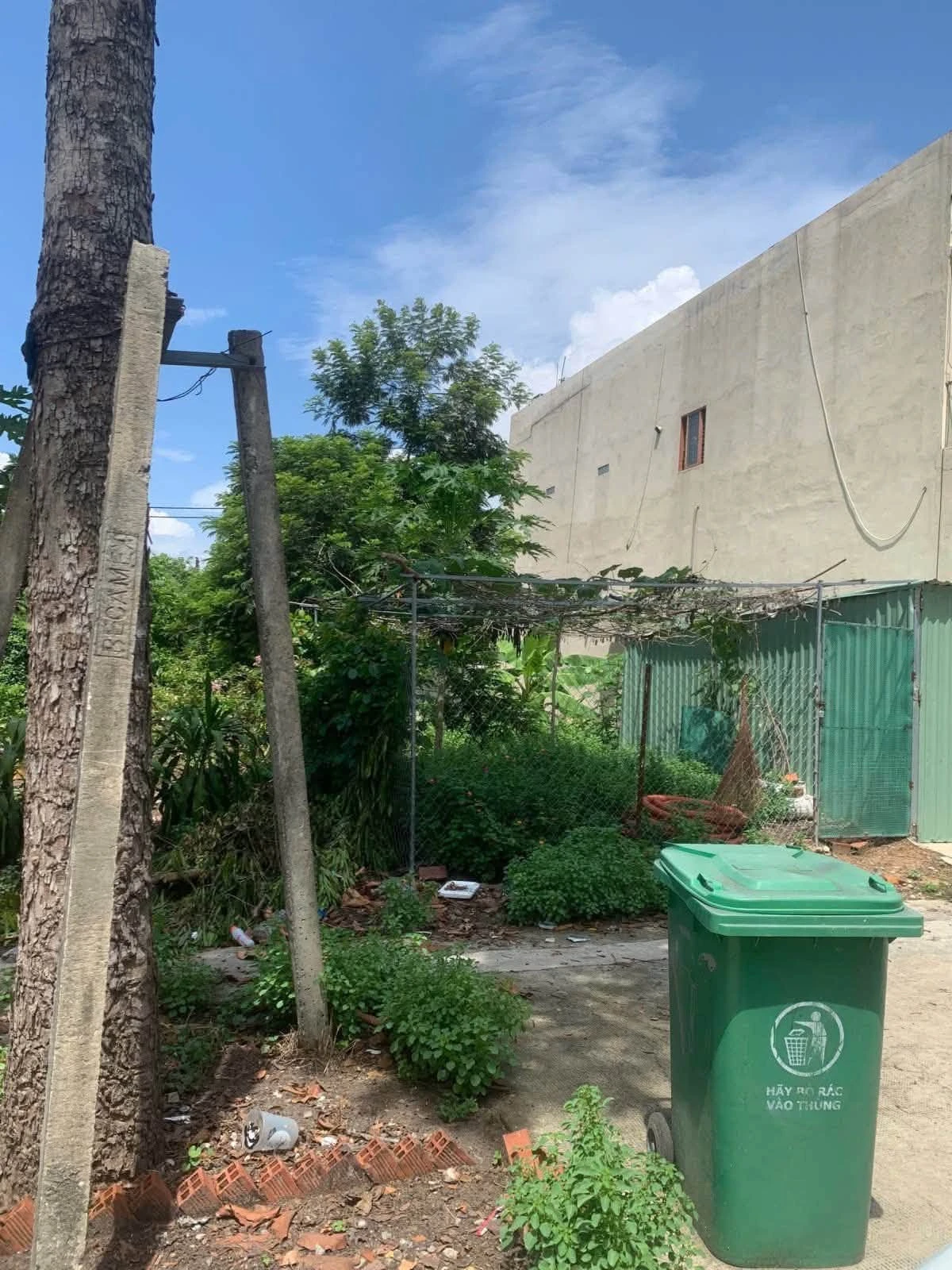 Bán đất Thới Hòa 150m² (5x30) sổ riêng, giá 3,45 tỷ - Ảnh 1