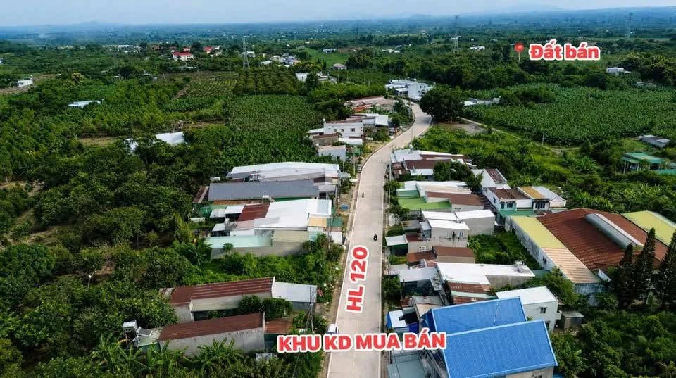 Bán đất Đồng Nai 115m2 giá 299 triệu - Ảnh thu nhỏ 3
