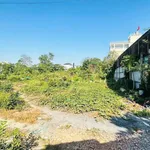 Bán đất thổ cư 310m2 Đường số 9 Linh Tây - Ảnh thu nhỏ 4
