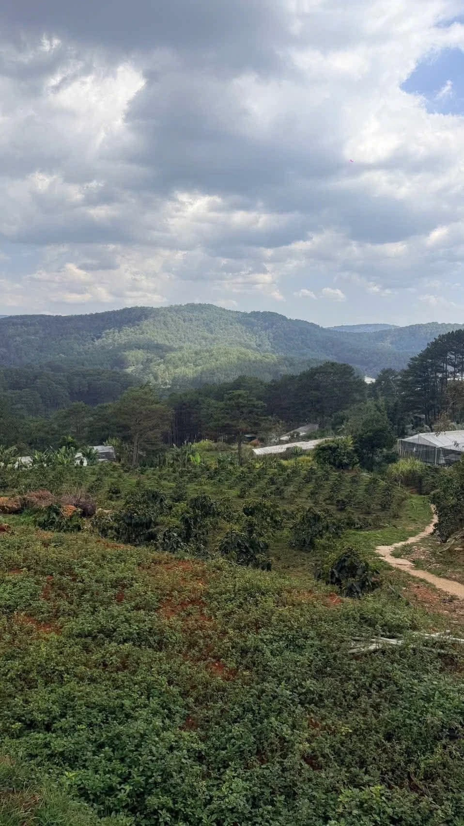 Bán gấp 2.000 m2 đất vườn đường Hoàng Hoa Thám, Phường 10, Đà Lạt - Ảnh 1