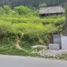 Chính chủ bán 300m2 đất mặt Quốc Lộ 4D cửa ngõ Sa Pa giá 17 tỷ - Ảnh thu nhỏ 11