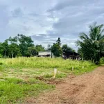 Bán đất Buôn Eatieu 240m² 350 triệu, sổ sẵn - Ảnh thu nhỏ 2