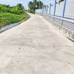 Bán đất thổ cư 1000m2 có nhà cấp 4, mặt tiền đường, view sông tại Cần Đước, Tây Ninh - Ảnh thu nhỏ 1