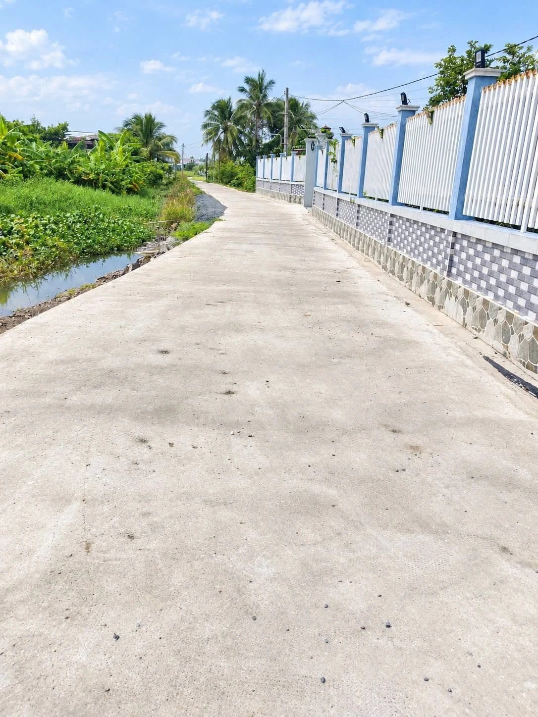 Bán đất thổ cư 1000m2 có nhà cấp 4, mặt tiền đường, view sông tại Cần Đước, Tây Ninh - Ảnh 1