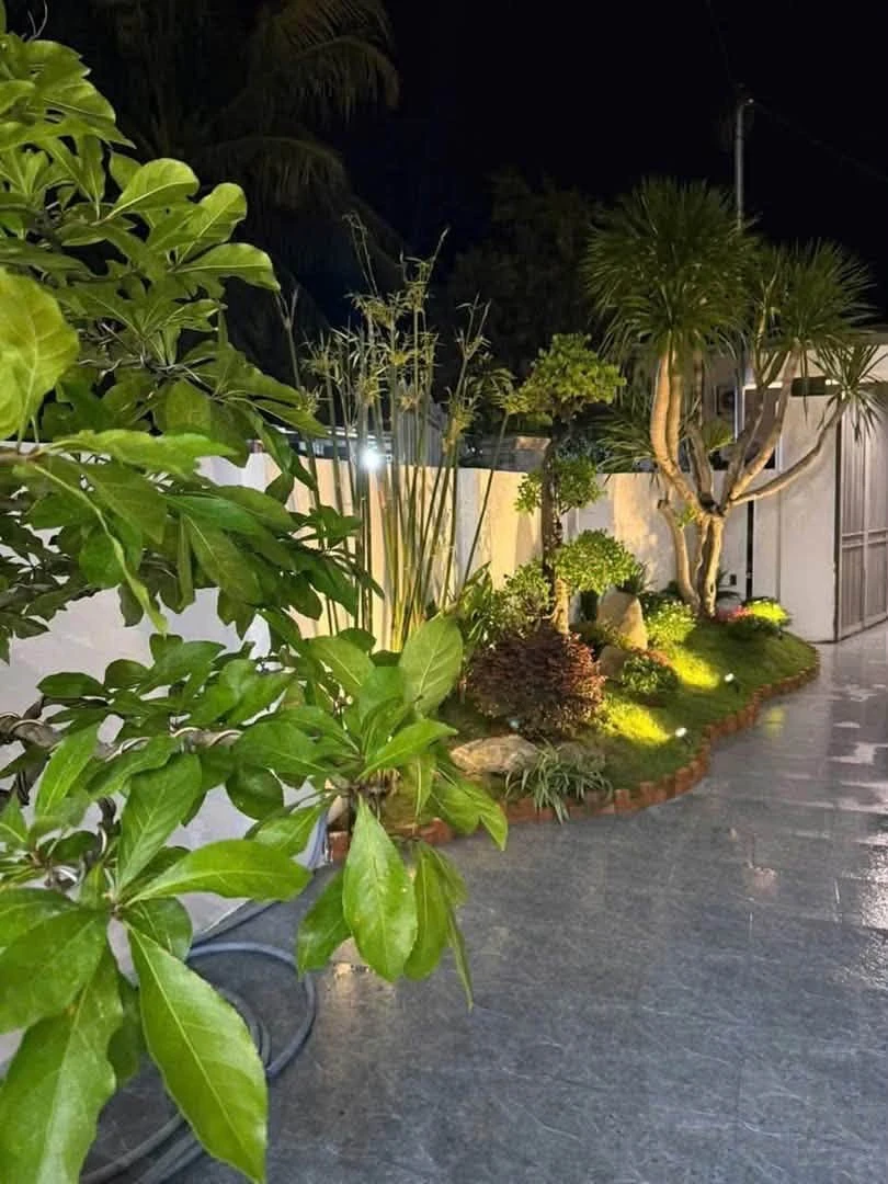 Bán nhà vườn Diên Khánh 232m² 3 phòng ngủ, sân rộng đậu 4 ô tô - Ảnh thu nhỏ 2
