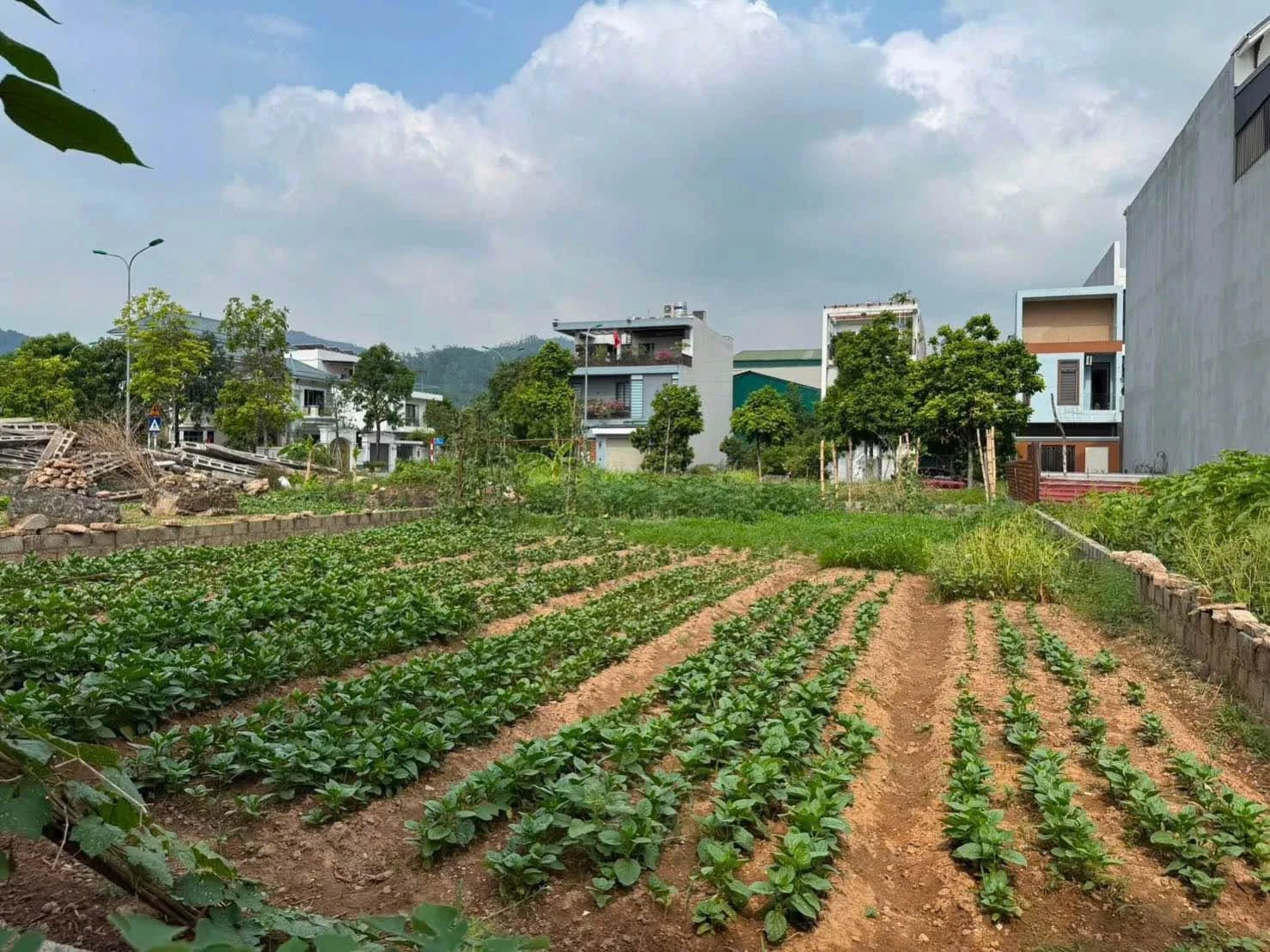Bán lô đất 102m² mặt tiền 5m Trương Hán Siêu, Hòa Bình - Ảnh 1