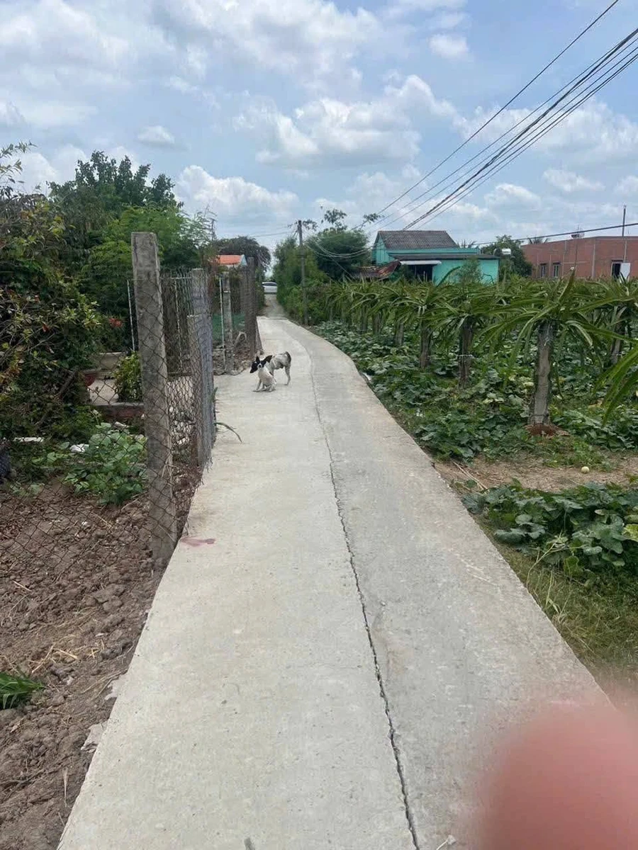 Bán đất 5x27m² An Lục Long An 230 triệu - Ảnh 1
