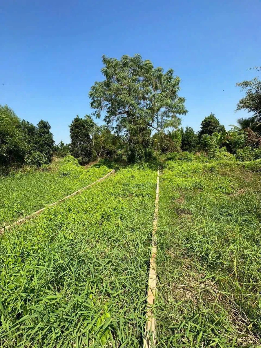 Bán đất thổ cư 103.6m² view sông tại Cần Giờ - Ảnh thu nhỏ 3
