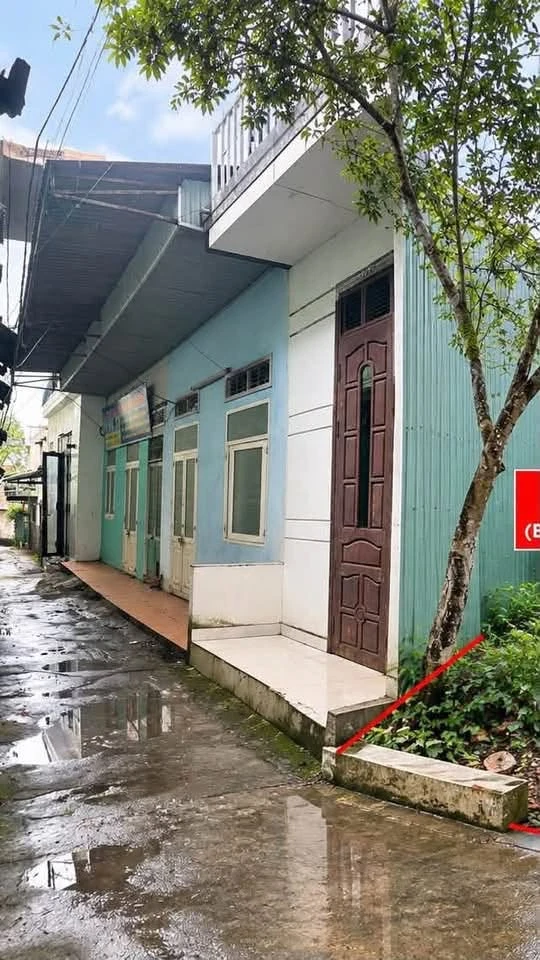 Bán đất thổ cư Pleiku 49.5m² - 480 triệu - Ảnh thu nhỏ 2