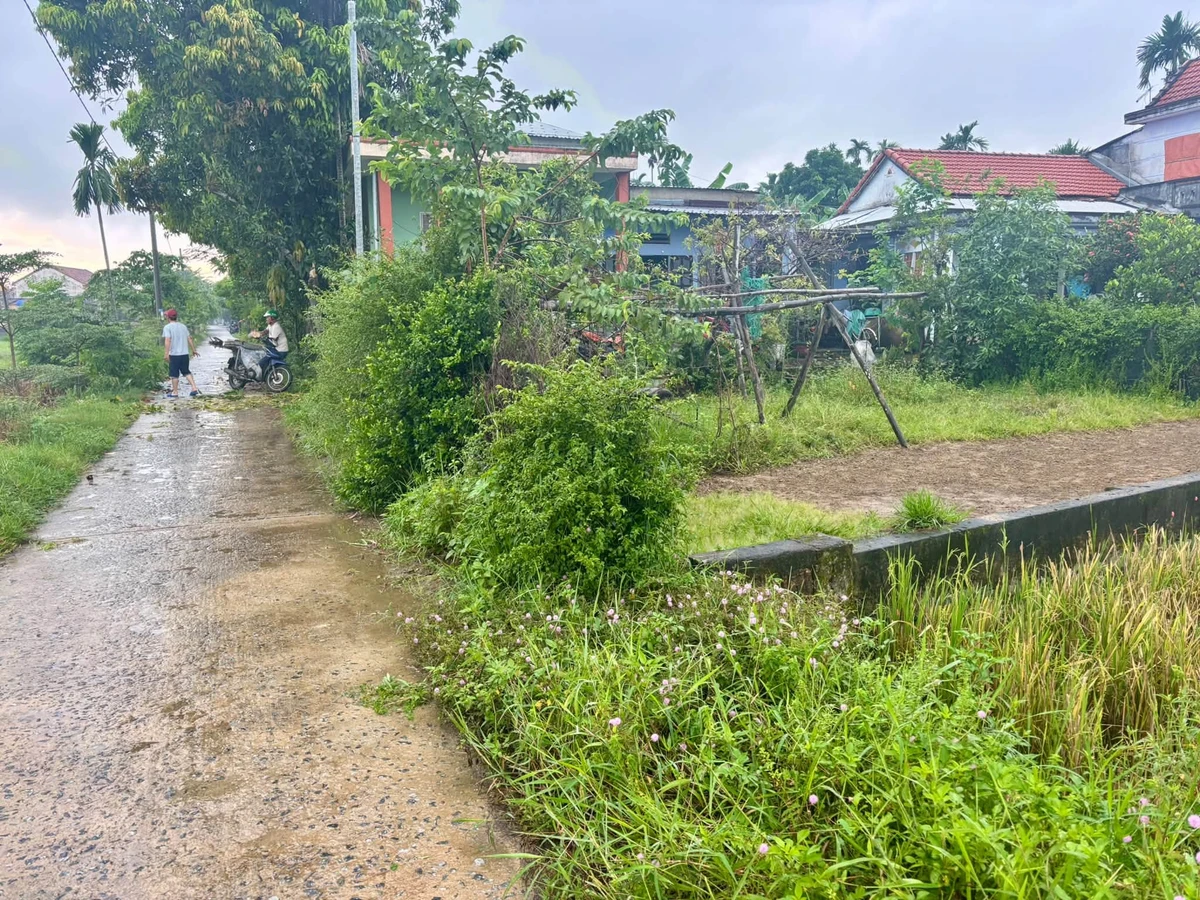 Bán đất 200m² Hoà Tiến, sát đường 409, 1,25 tỷ - Ảnh thu nhỏ 2