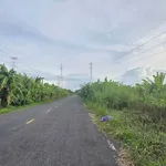 Bán vườn cây ăn trái mặt tiền tỉnh lộ 853, hơn 12.000m2, giá 11 tỷ tại Đồng Tháp - Ảnh thu nhỏ 1