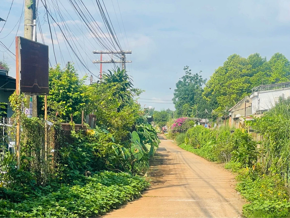 Bán đất Xuân Bình cũ, Long Khánh, 95m² – 1,1 tỷ - Ảnh thu nhỏ 4