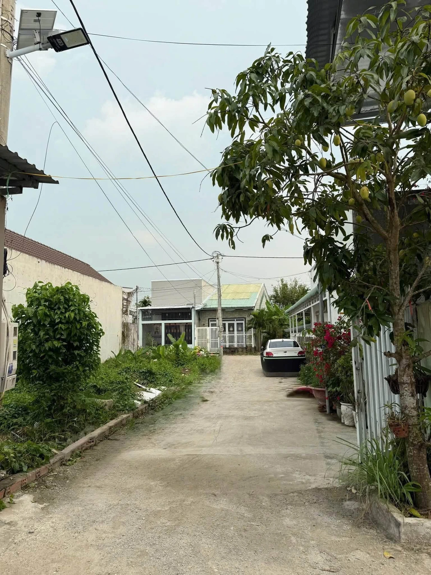 Bán nhà 2 phòng ngủ 50m2 phố Sư Vạn Hạnh, Quận 3 - Ảnh 1