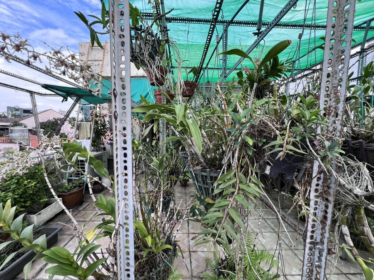 Bán nhà hẻm xe hơi 4 tầng 5PN, 67m², ngã tư Nguyễn Văn Đậu - Hoàng Hoa Thám, Bình Thạnh - Ảnh thu nhỏ 4