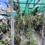 Bán nhà hẻm xe hơi 4 tầng 5PN, 67m², ngã tư Nguyễn Văn Đậu - Hoàng Hoa Thám, Bình Thạnh - Ảnh thu nhỏ 4