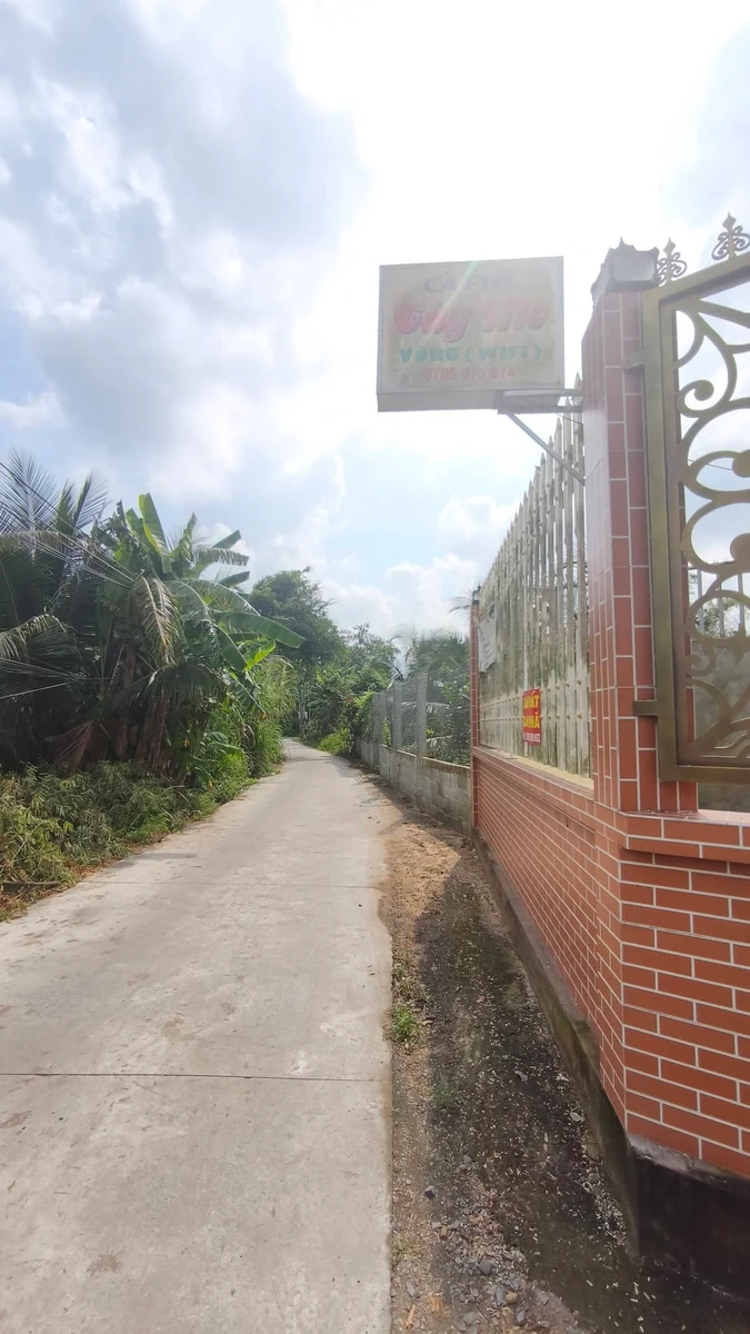 Bán nhà cấp 4 200m² Ấp Tân Lược, Tân Hương, Đồng Tháp - Ảnh thu nhỏ 3