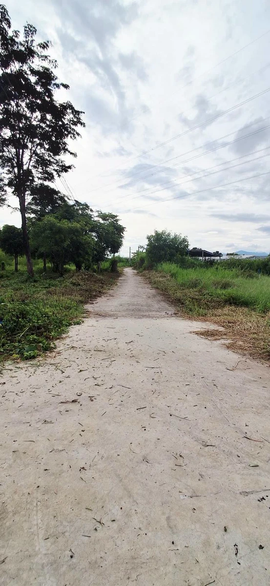 Bán đất thổ cư 100m² Phan Thiết, 570 triệu - Ảnh thu nhỏ 2
