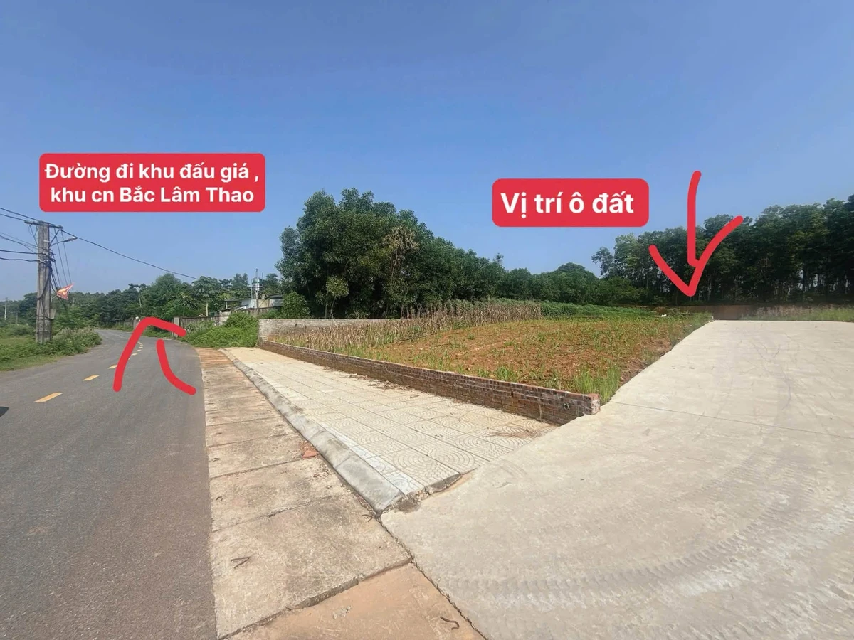 Bán đất 106.6m² gần Cụm CN Bắc Lâm Thao, Bình Chánh - Ảnh thu nhỏ 4