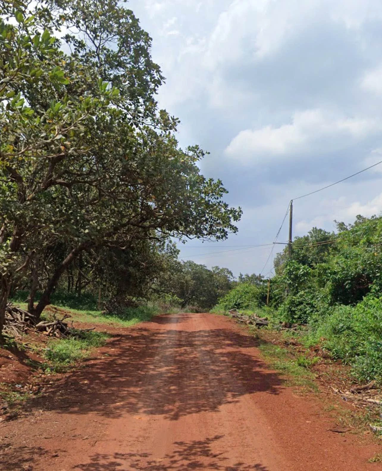 Bán đất Tân Hòa 1000m² 360 triệu - Ảnh 1