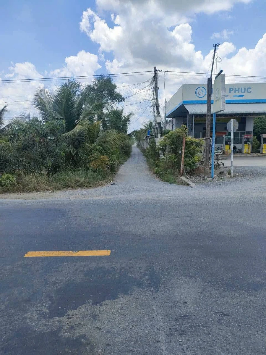 Bán 4007m2 đất vườn mặt tiền đường ôtô Tây Ninh 3 tỷ 2 - Ảnh thu nhỏ 2