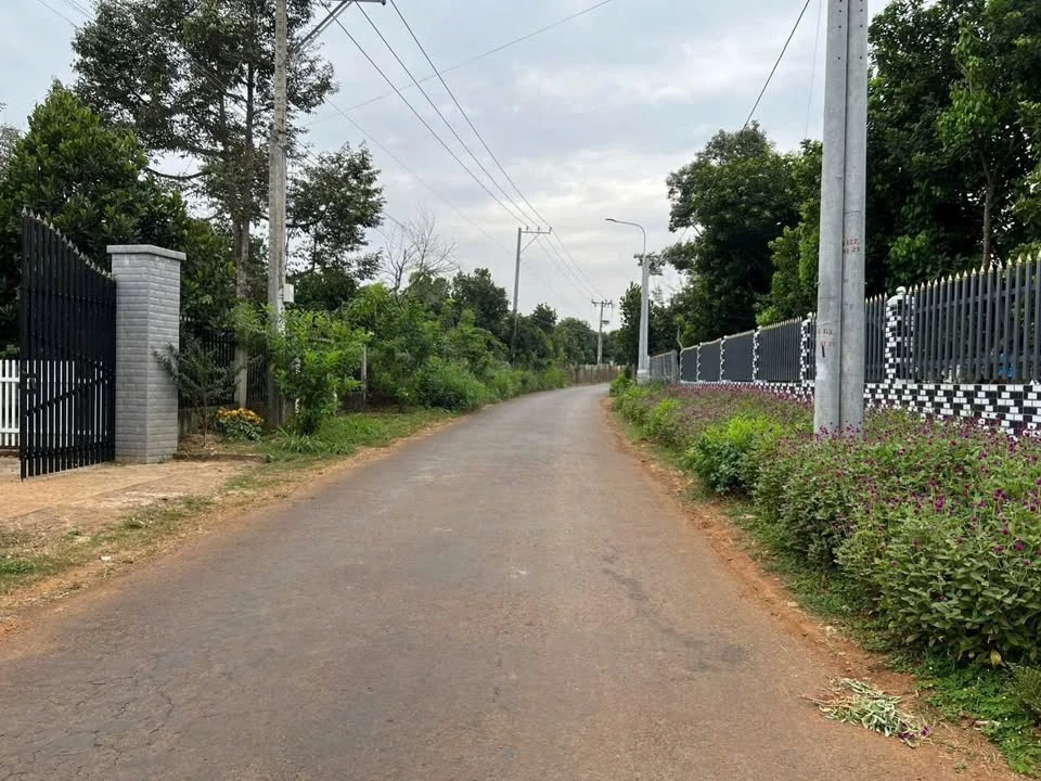 Bán đất vườn 3056m² Long Bình, Long Khánh, Đồng Nai - Ảnh 1