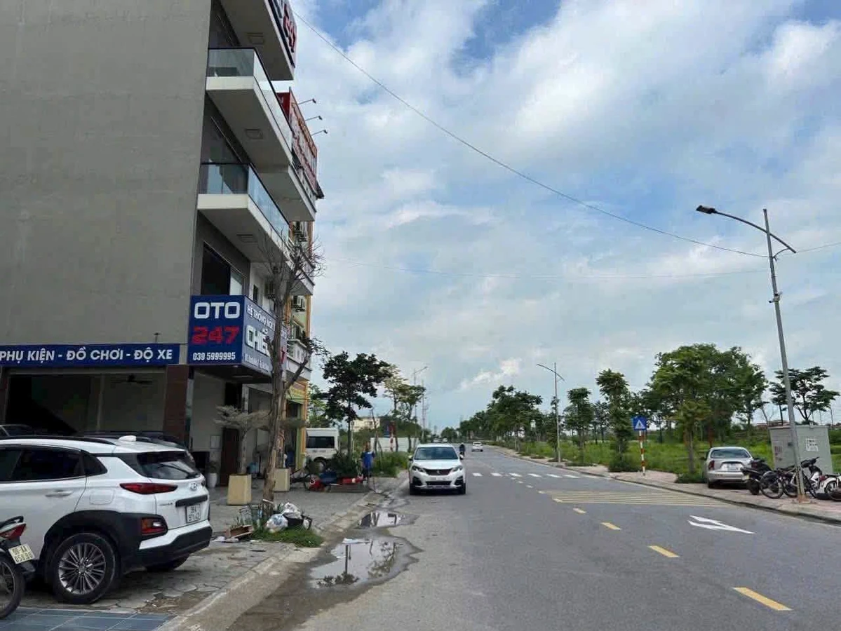 Bán lô đất 80m2 mặt tiền 5m đường Bách Việt, Bình Dương - Ảnh thu nhỏ 3
