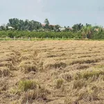 Bán đất vườn 1000 m² xã Tân Thành Hóc Môn - Ảnh thu nhỏ 2