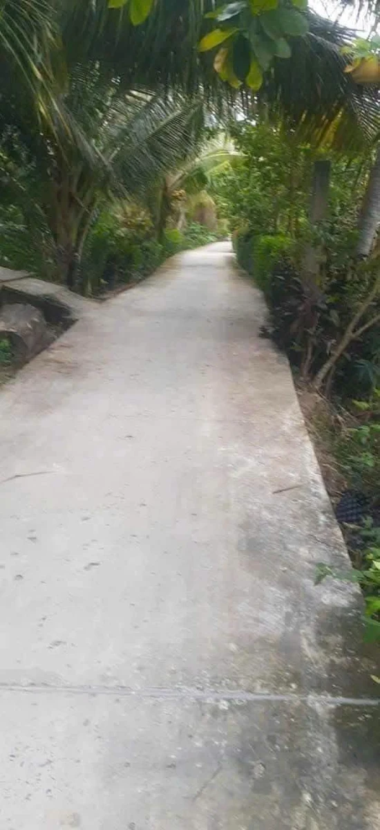 Bán 500m² đất vườn tặng nhà cấp 4 tại Mỹ An Thủ Thừa - Ảnh 1