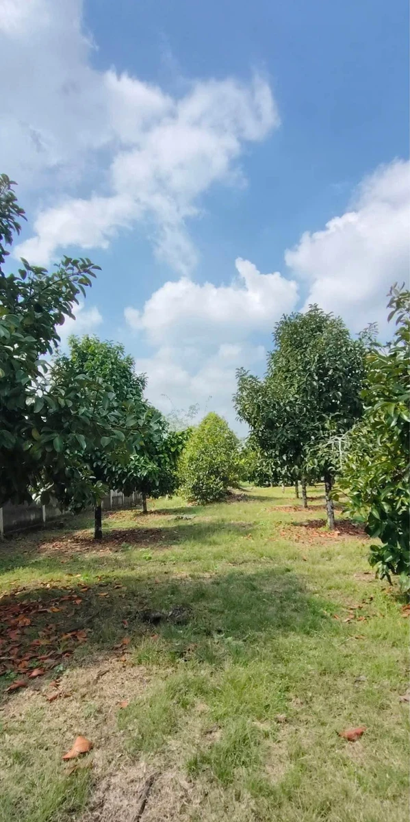Bán đất 500m² Phường Bình Lộc Đồng Nai 690 triệu - Ảnh thu nhỏ 2