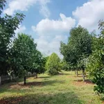 Bán đất 500m² Phường Bình Lộc Đồng Nai 690 triệu - Ảnh thu nhỏ 2