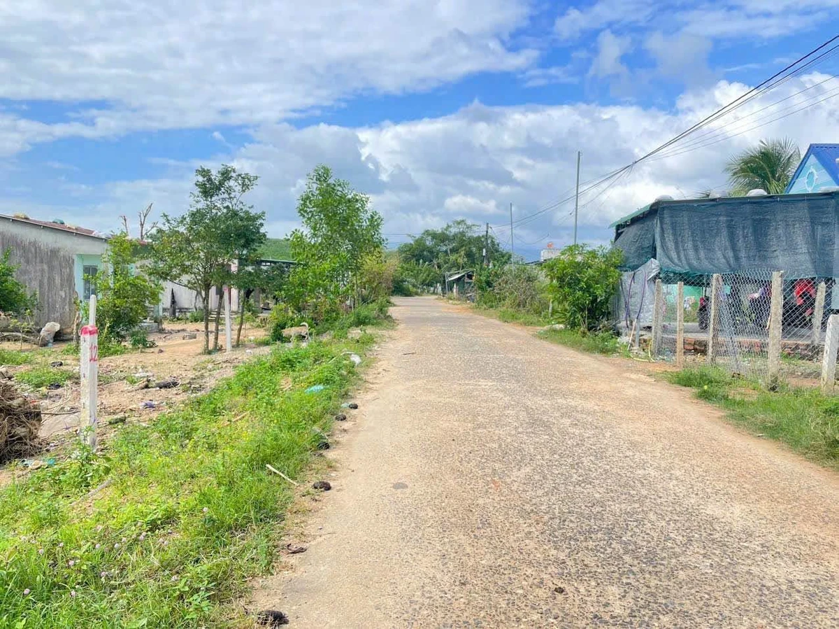 Bán đất Khánh Đông 246m² giá 320 triệu - Ảnh thu nhỏ 4