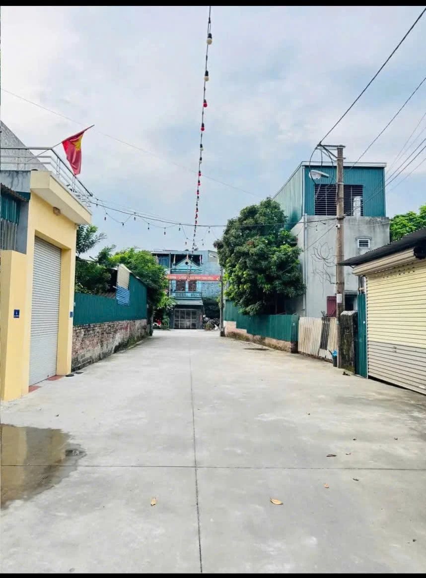 Bán lô đất 85m2 ngõ Phan Chu Trinh Nhị Châu Hải Dương - Ảnh thu nhỏ 2