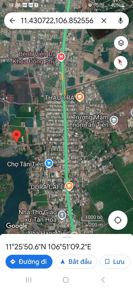 Bán đất 310m² có 100m² thổ cư Đồng Phú Bình Phước - Ảnh thu nhỏ 5