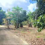 Bán đất nền 100m² Long Khánh 610 triệu - Ảnh thu nhỏ 2