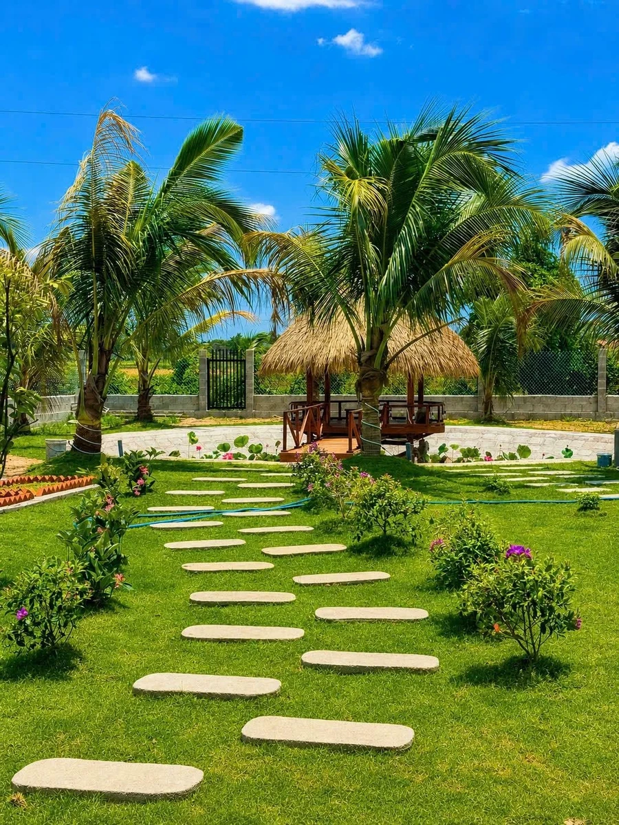 Bán nhà vườn 1.600m² Hàm Chính, Bình Thuận, gần Phan Thiết - Ảnh thu nhỏ 4
