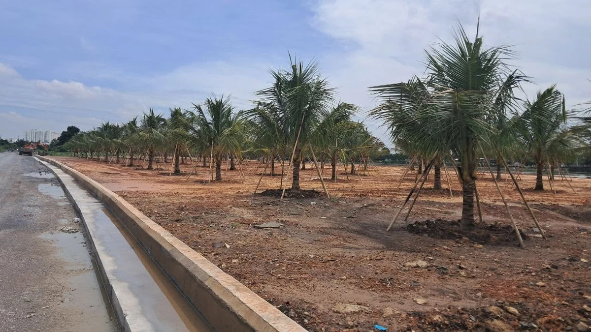 Bán đất 65m2 ven sông Sài Gòn, An Phú Đông, 86 tỷ - Ảnh thu nhỏ 3
