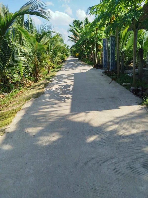 Bán vườn dừa 2378 m² Giồng Trôm, Bến Tre