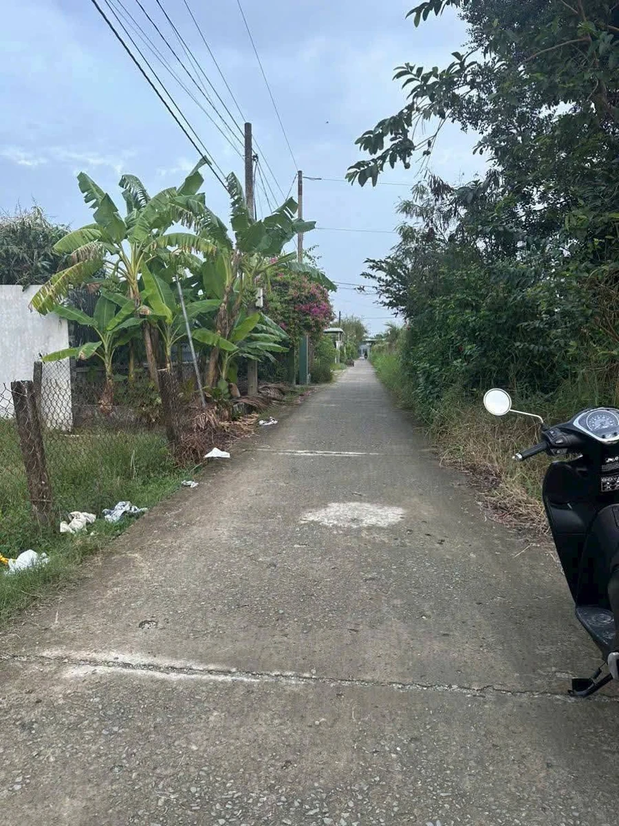 Bán đất lúa 1100m² Châu Thành Long An, 1 tỷ 150 triệu - Ảnh 1