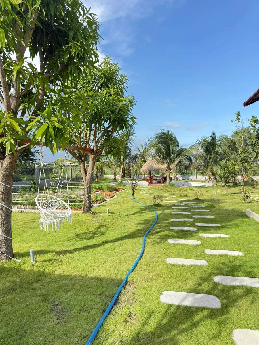 Nhà vườn 1.600m² giá 1 tỷ 790 tại Lâm Đồng - Ảnh thu nhỏ 3